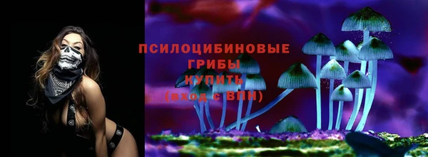 прущие грибы Струнино
