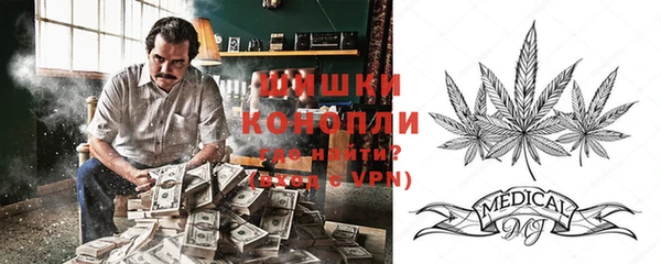 прущие грибы Струнино