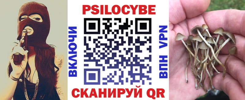 МЕГА   Бокситогорск  Псилоцибиновые грибы Psilocybe 